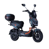 Электровелосипед Demansh Ecodemes EVO 3-40