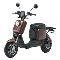 Электроскутер Skyboard Kazbek 1200W